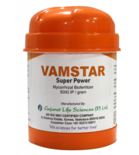 GLS Vamstar Superpower 100 grams - Mycorrhiza Biofertilizer